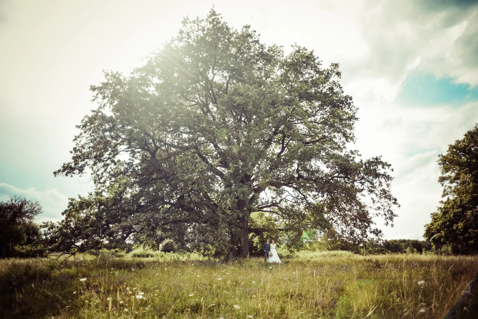 Brautpaar auf Wiese mit Baum im Hintergrund